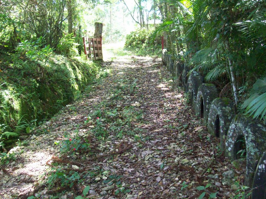 Chácara em Bocaiúva do Sul - Chacara em Bocaiuva do Sul-Campo Novo-24,49 hectares R$ 750.000,00