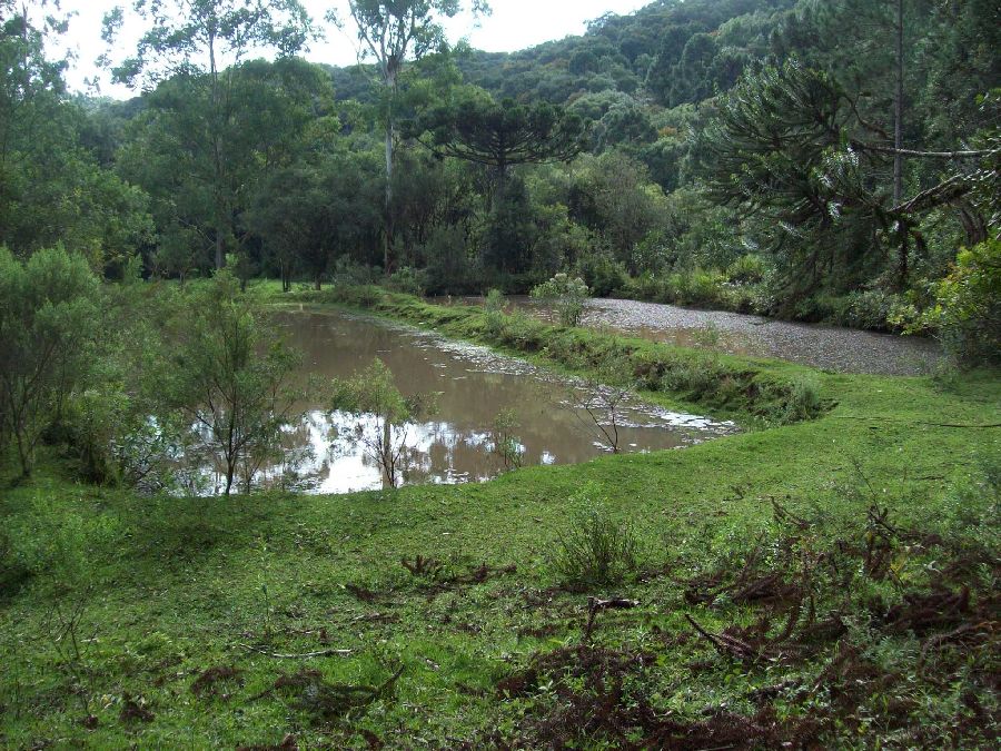 Chácara em Bocaiúva do Sul - Chácara em Bocaiuva do Sul, Paraná localidade de Papanduva a 4 Km do Centro, com área de 4 alqueires. R$ 750.000,00