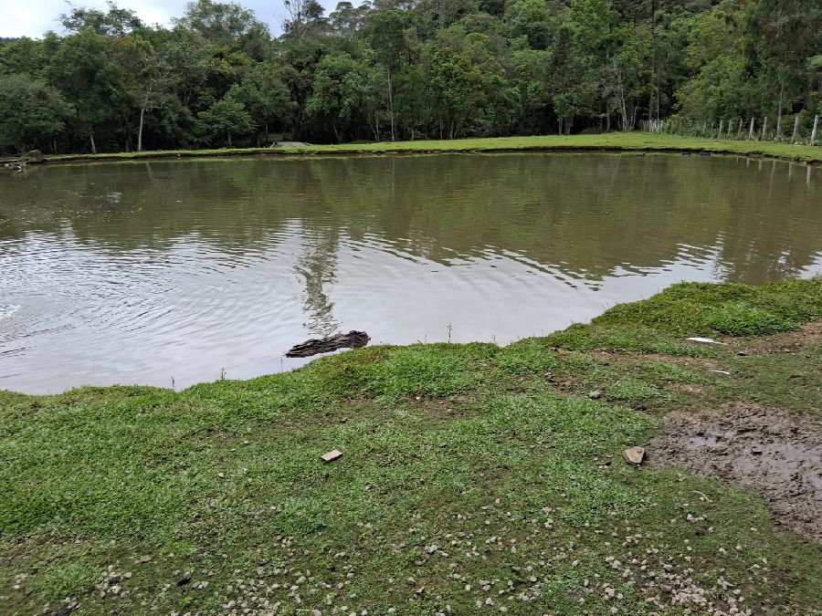 Chácara em Bocaiuva do Sul - Excelente Chácara em Bocaiúva do Sul na localidade de Barra das Cruzes. Com área de 24200 m².