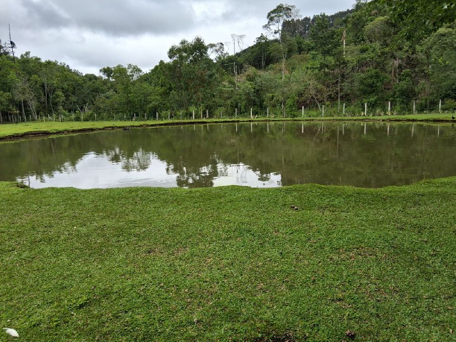 Chácara em Bocaiuva do Sul - Excelente Chácara em Bocaiúva do Sul na localidade de Barra das Cruzes. Com área de 24200 m².