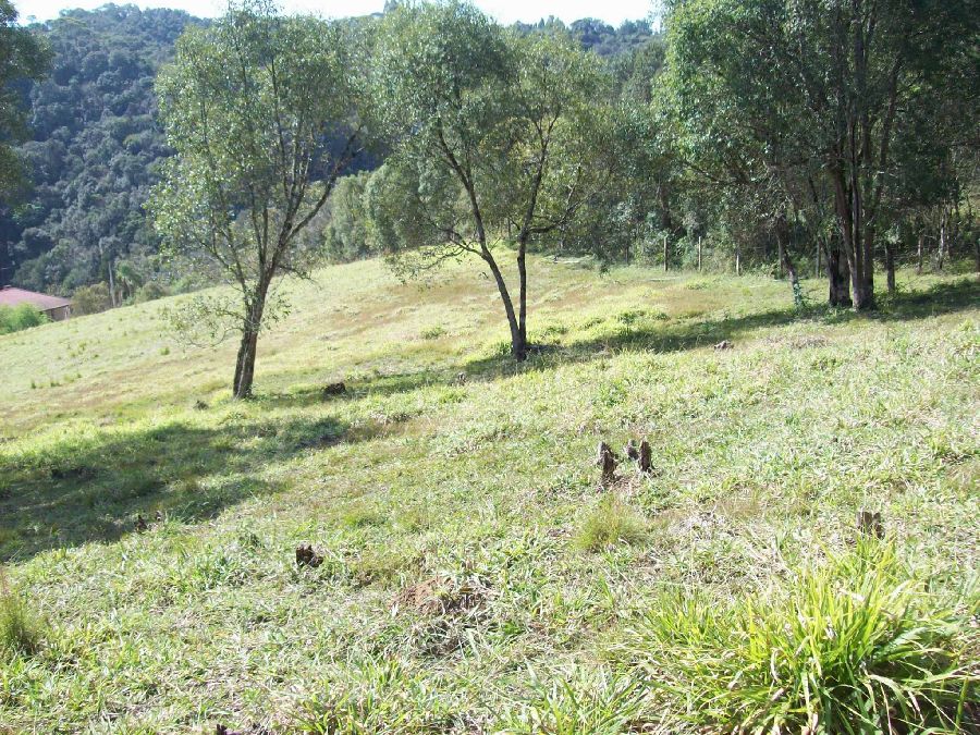 Chácara em Bocaiuva do Sul - Área 16.175,97 m², para Chácara, excelente localização a 3 Km do Centro de Bocaiuva do Sul, Paraná. R$220.000,00.