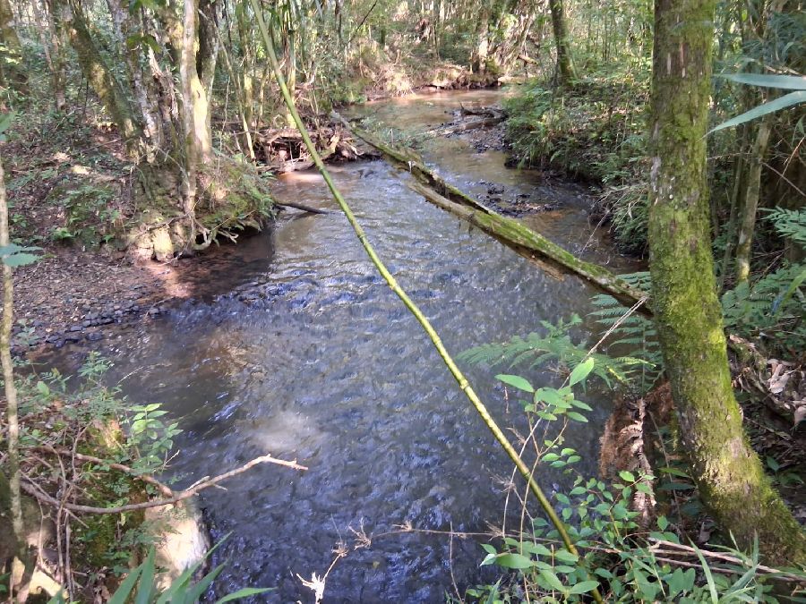 Terreno em Bocaiuva do Sul - Área de terreno com área de 74.490,00 m², na localidade de Barra das Cruzes, no Município de Bocaiuva do Sul-PR, bom acesso, estrada interna, rio Jordão na divisa.