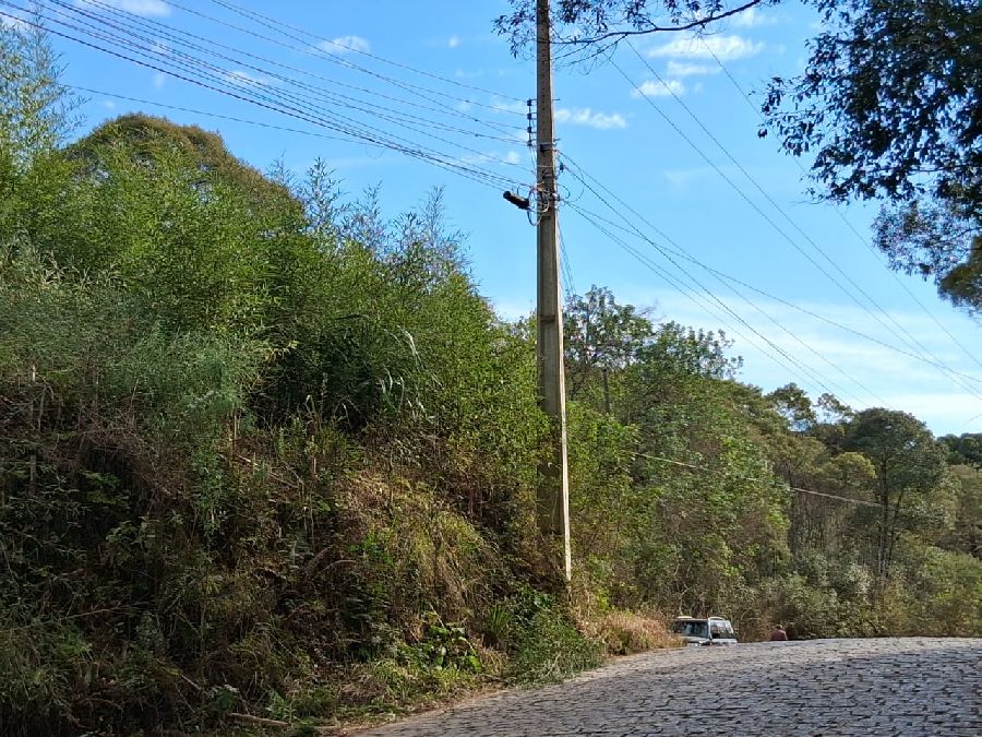 Chácara em Bocaiuva do Sul - Áreas de 20.000,00 metros quadrados em Bocaiuva do Sul, Paraná, localidade de Cachoeirinha, de frente para rua de paralelepípedos a 2Km da BR 476.R$330.000,00